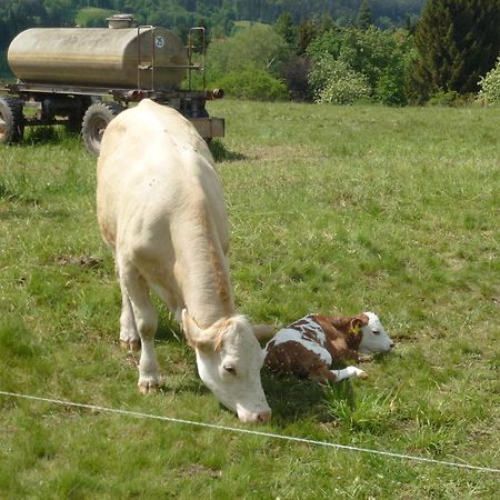 Ferienwohnung Bradatsch Catterfeld Buitenkant foto